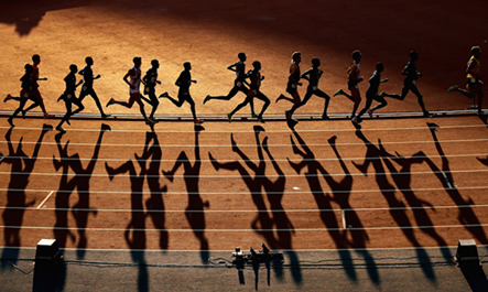 了至关重要 了至关重要