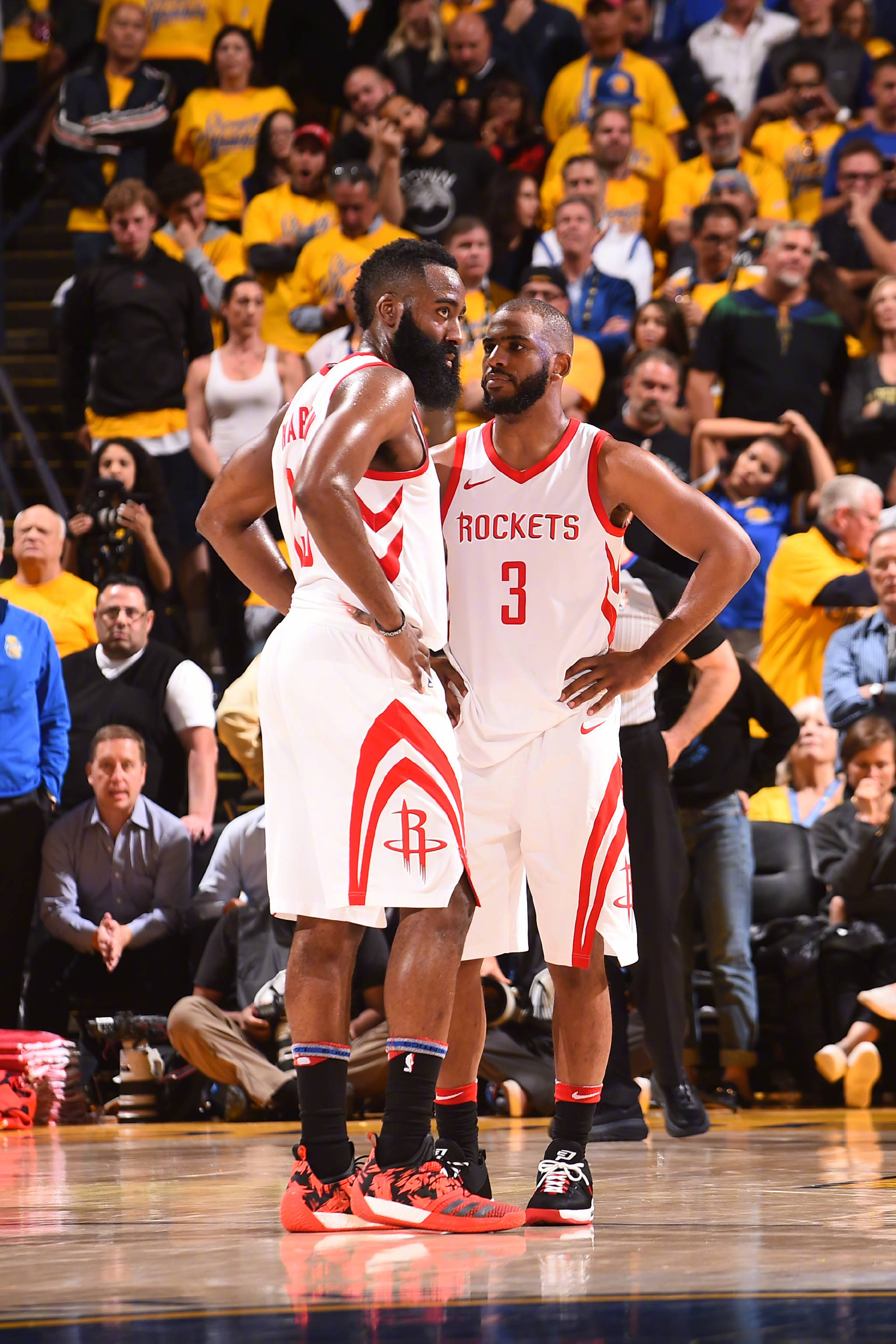 背景下顽强 背景下顽强