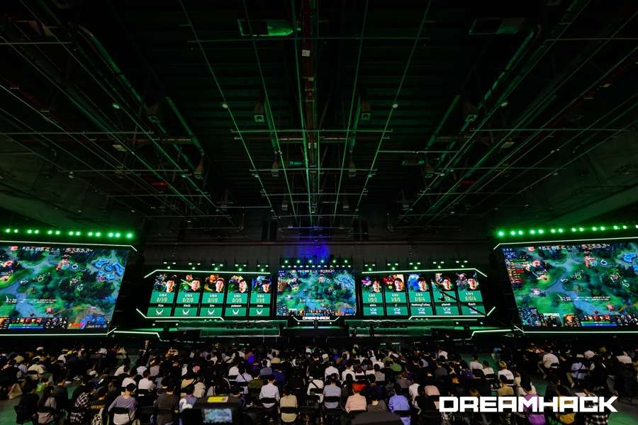 报道中提到 报道中提到